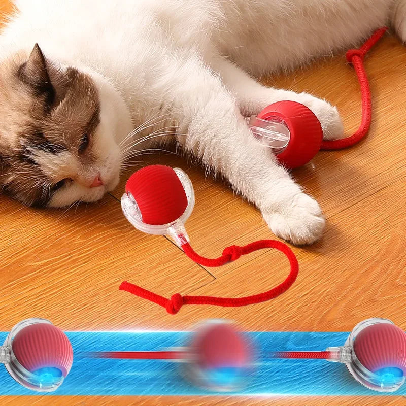 PETQUEST - Brinquedo Interativo: Transforme o Tédio do Seu Gato em Aventura